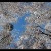 20071229_144